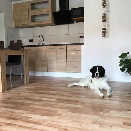 Apartmany A&Z Horice na Sumave Екстер'єр фото